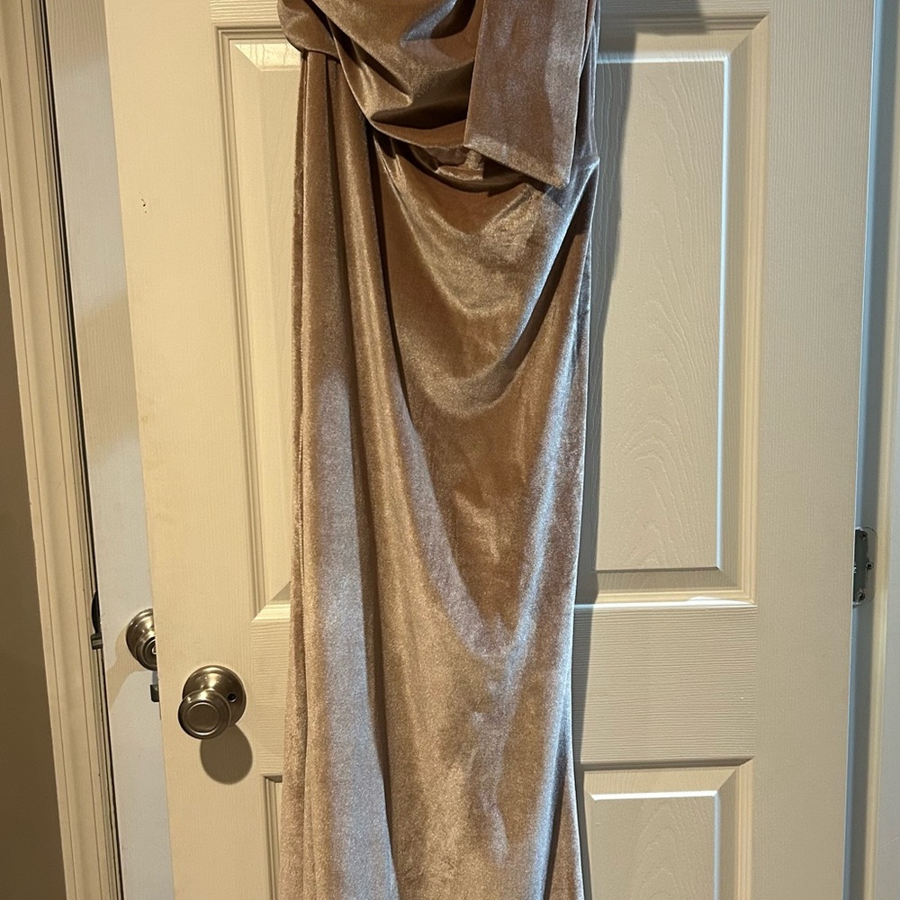 Elegant Tan Velvet Dress